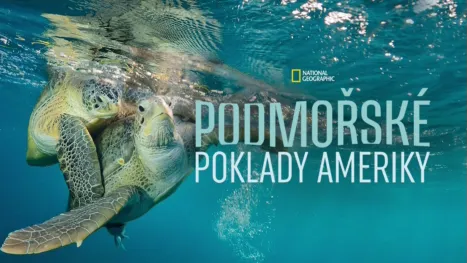 thumbnail - Podmořské poklady Ameriky
