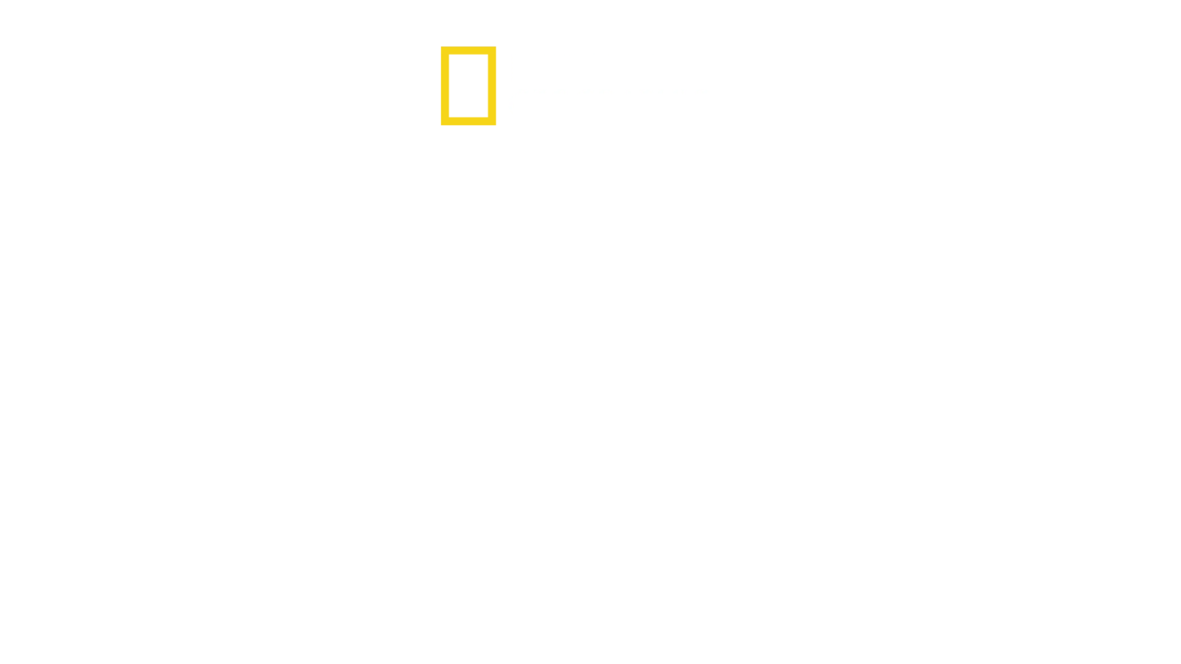 克里斯·海姆斯沃斯：鲨鱼海滩