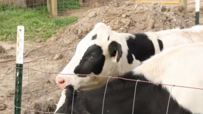 thumbnail - S1:E9 Up Sheep's Creek