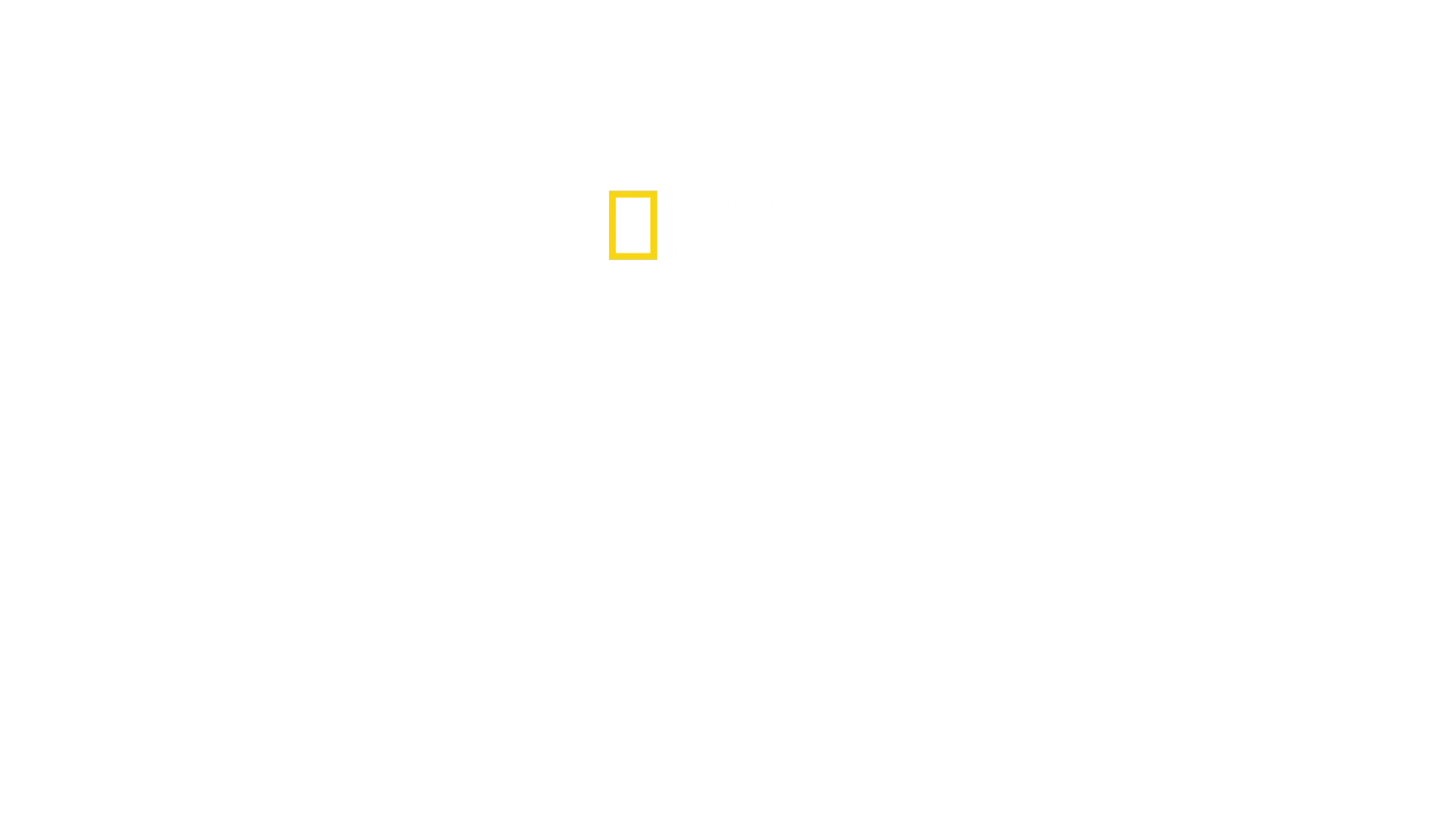 L'holocauste invisible