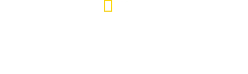 L'holocauste invisible