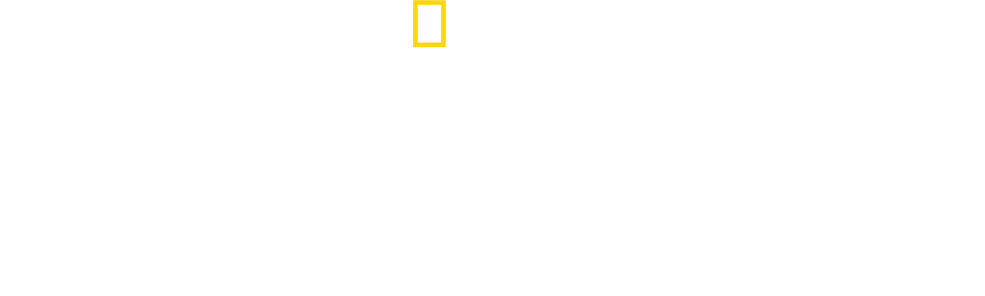 L'holocauste invisible