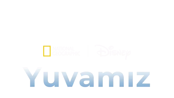Dünya Ayı
