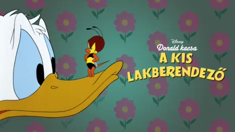 thumbnail - A kis lakberendező