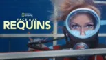 thumbnail - Face aux requins