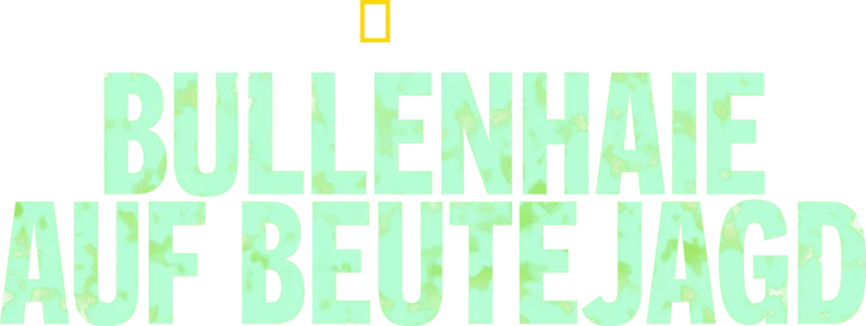 Bullenhaie auf Beutejagd