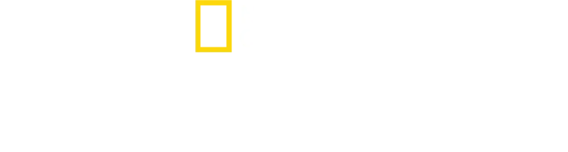 Photographer: Der Mensch hinter der Kamera