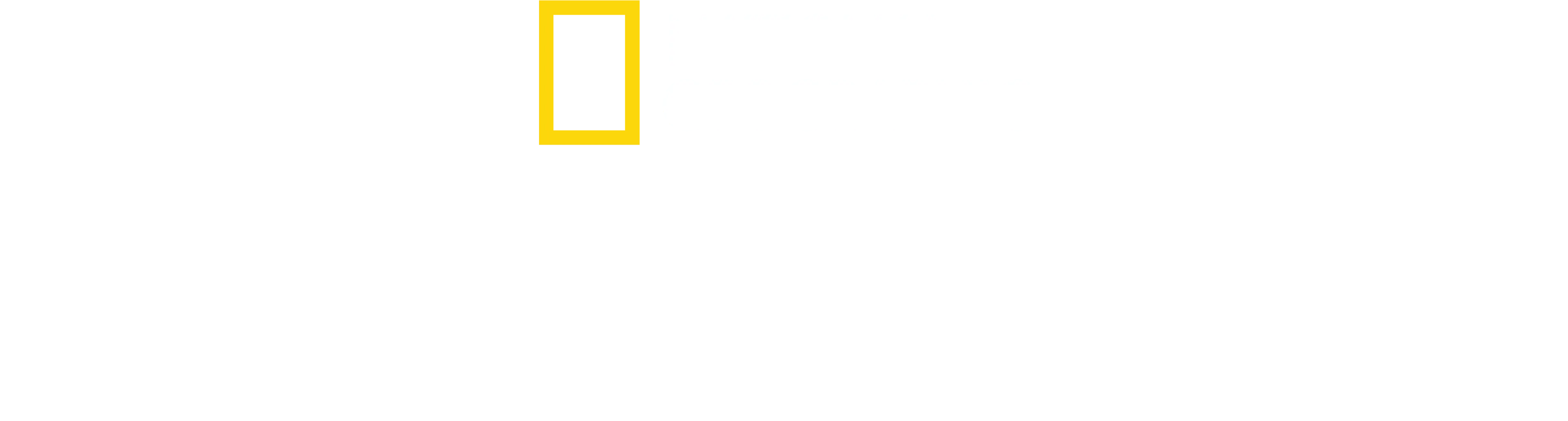 Photographer: Der Mensch hinter der Kamera
