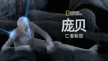thumbnail - 庞贝：亡者秘密