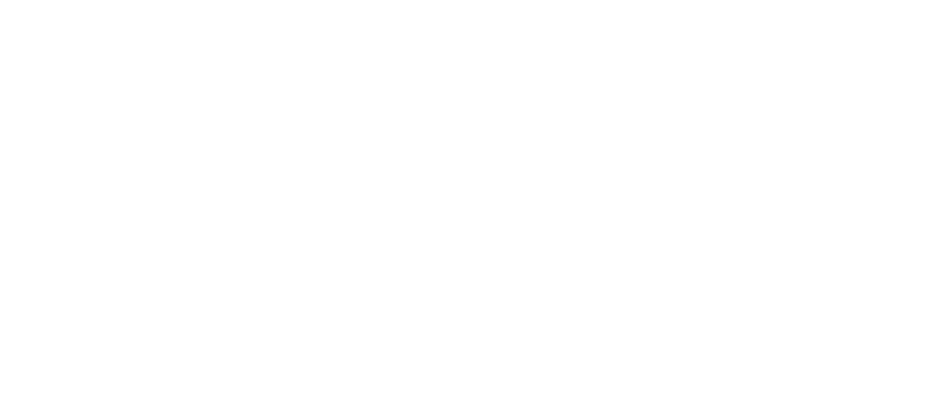 Det vilde dusin 2