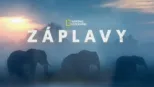 thumbnail - Záplavy