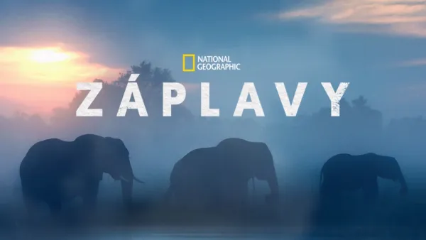 thumbnail - Záplavy