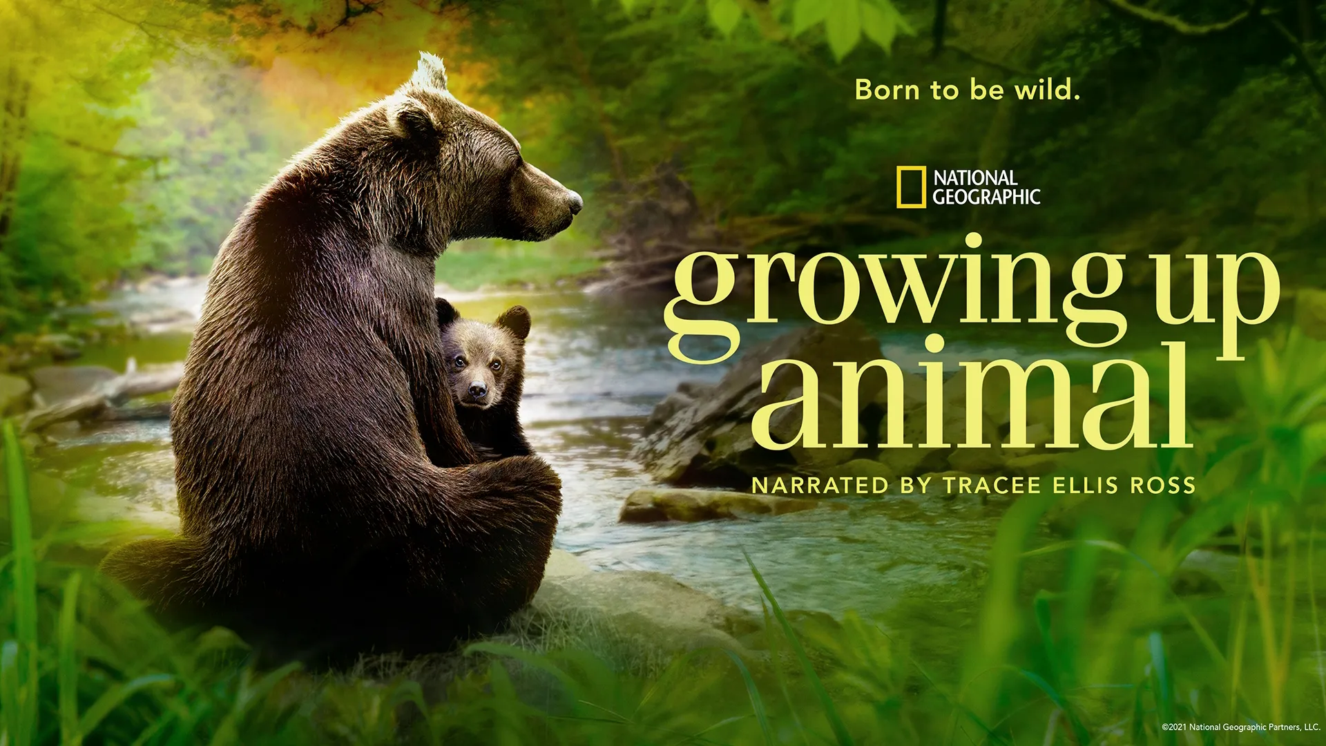 This image is a still from the National Geographic documentary, Growing Up Animal