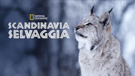 thumbnail - Scandinavia Selvaggia