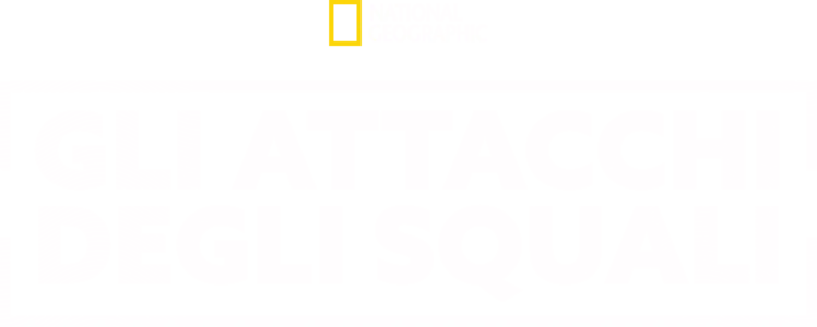 Gli attacchi degli squali