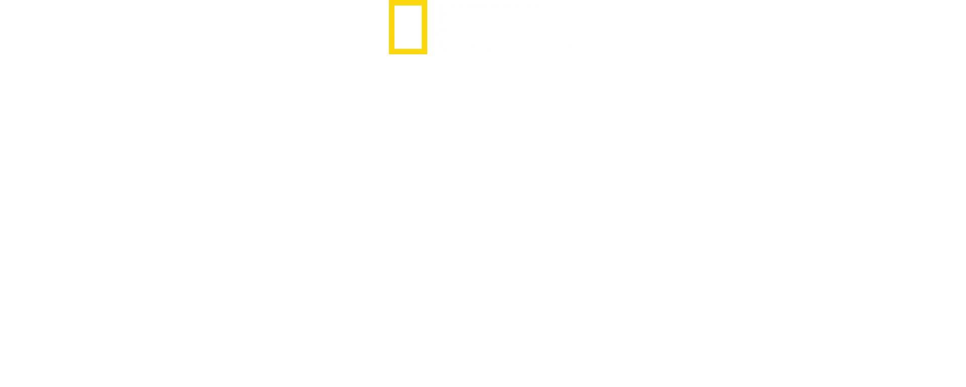 Gli attacchi degli squali