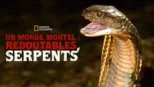 thumbnail - Un monde mortel : redoutables serpents