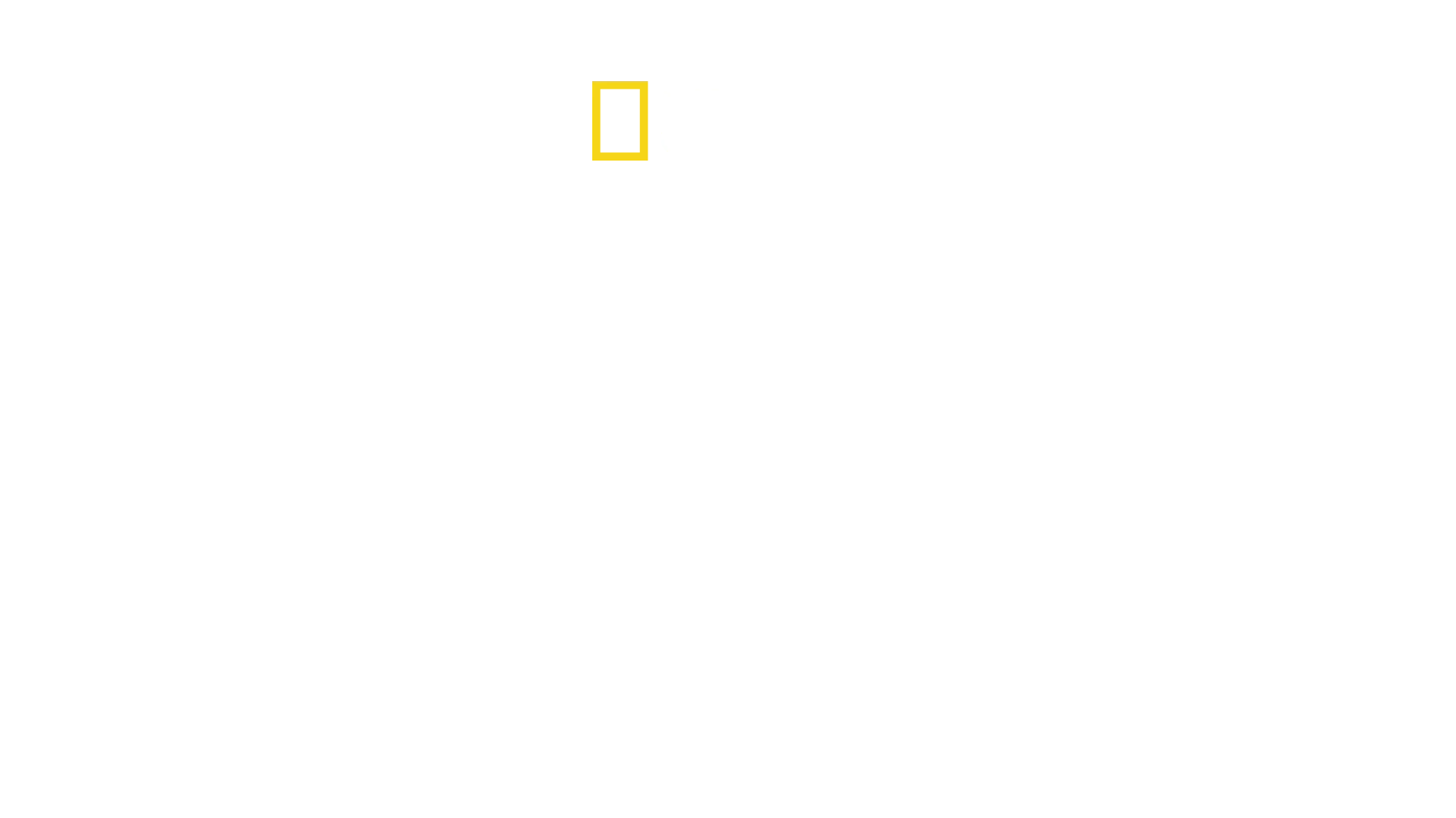 King Tut in Color