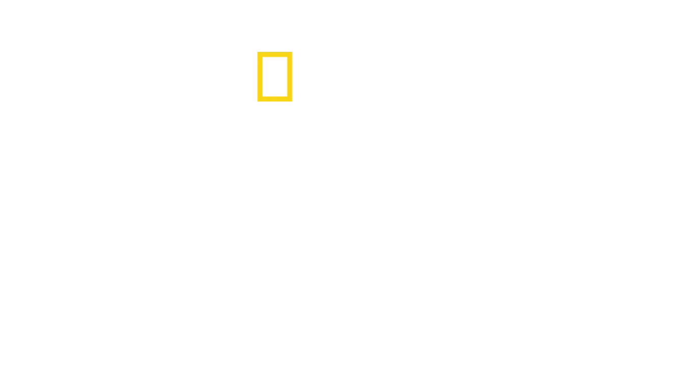 Os Segredos do Zoológico