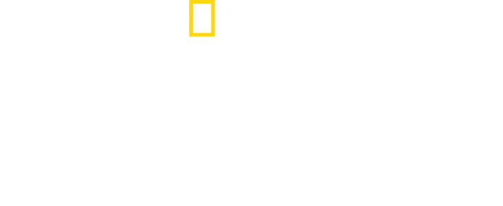 Os Segredos do Zoológico
