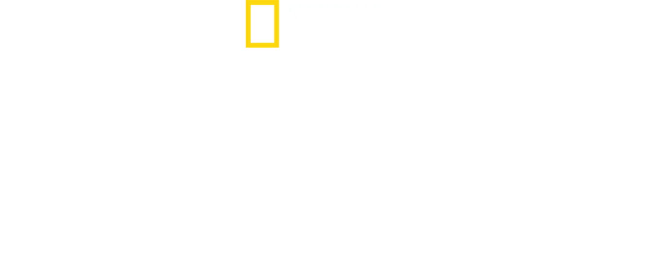 Os Segredos do Zoológico
