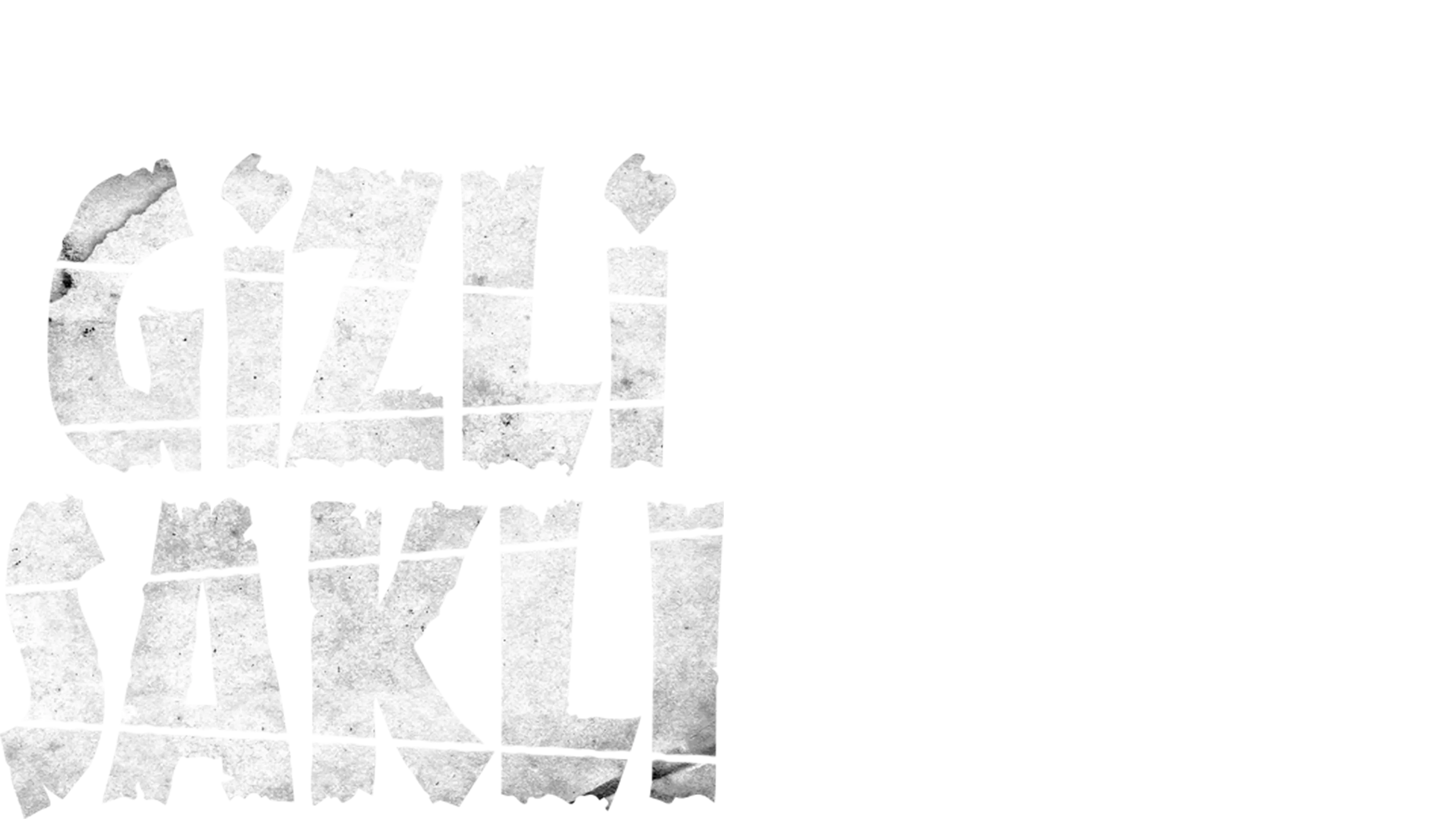 Gizli Saklı