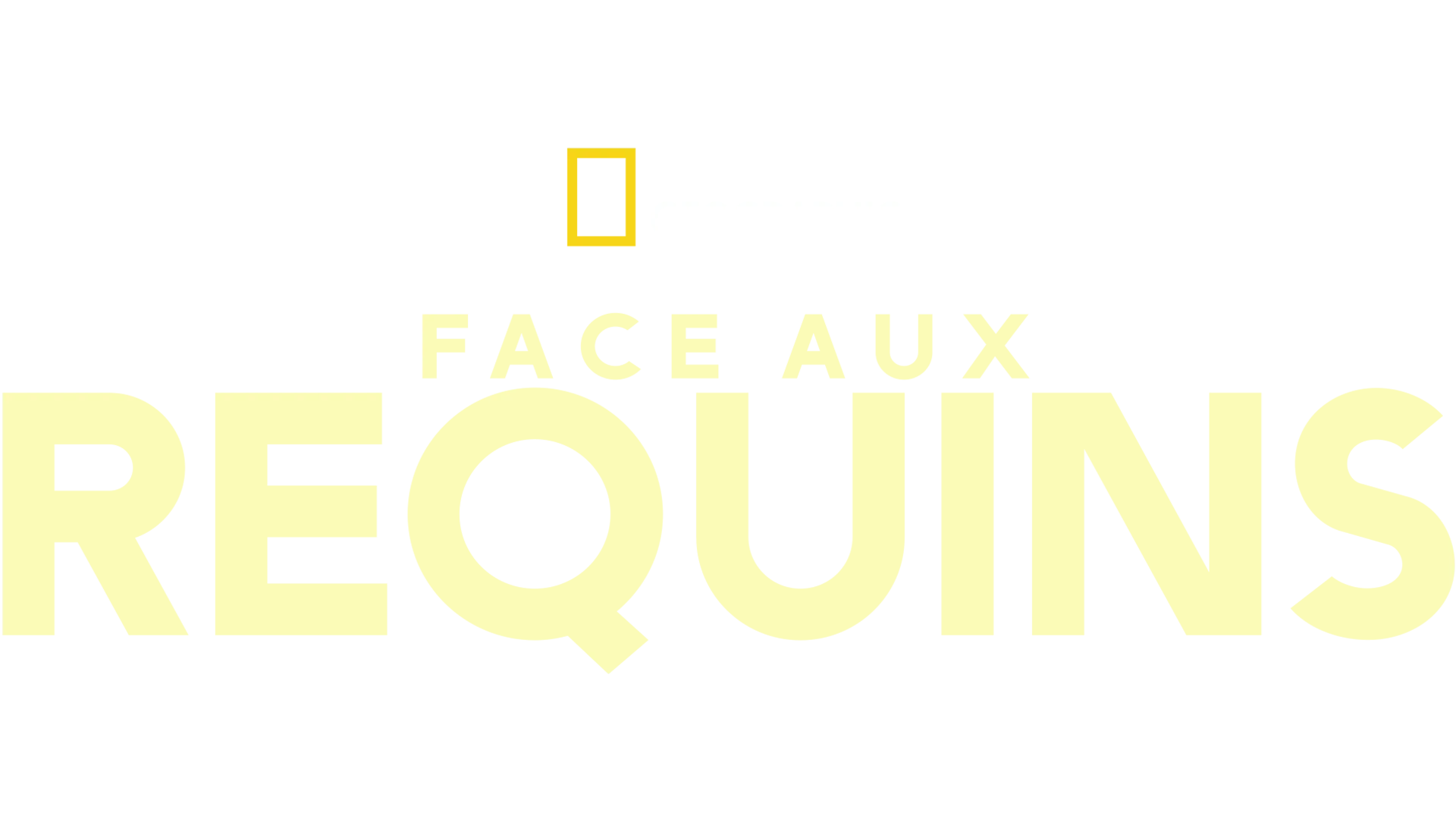Face aux requins