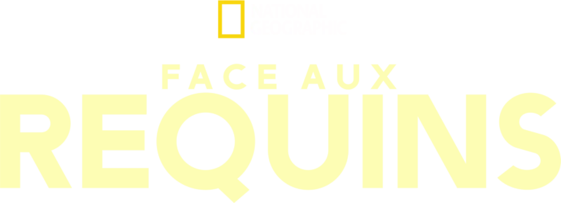 Face aux requins