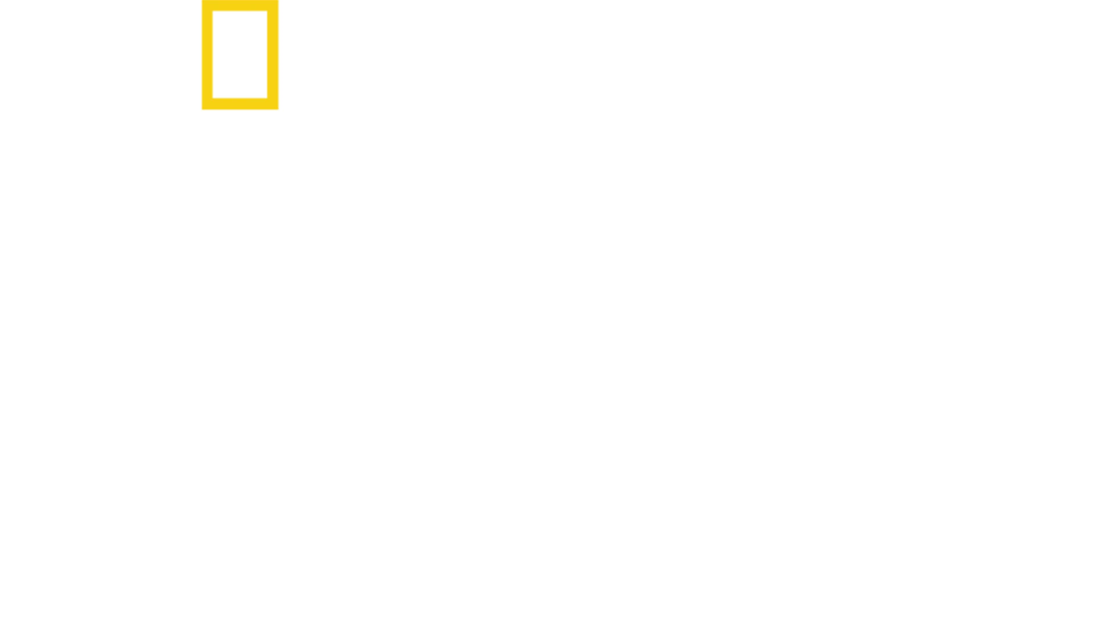 珍古德：點燃希望