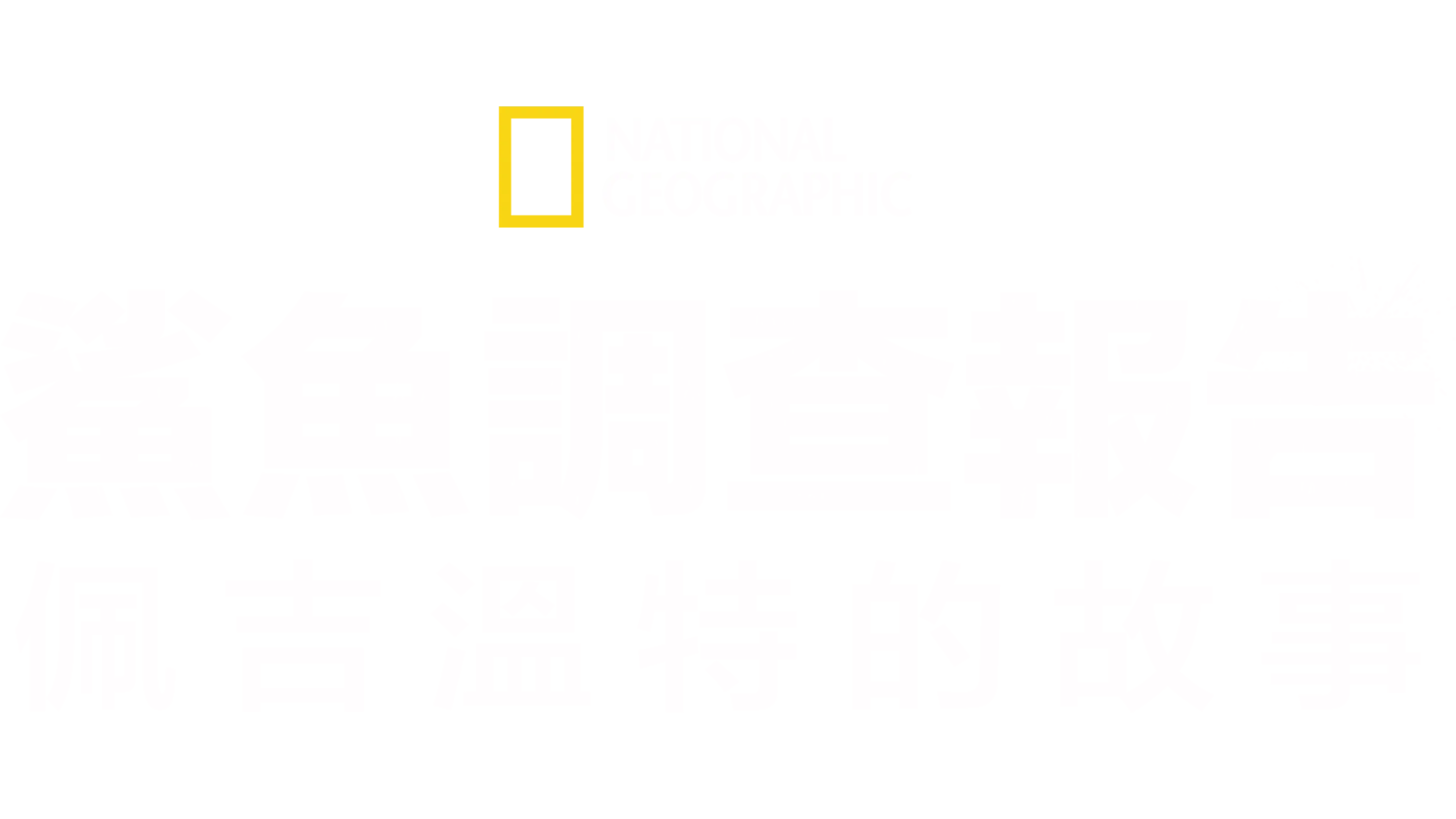 鯊魚調查報告：佩吉溫特的故事