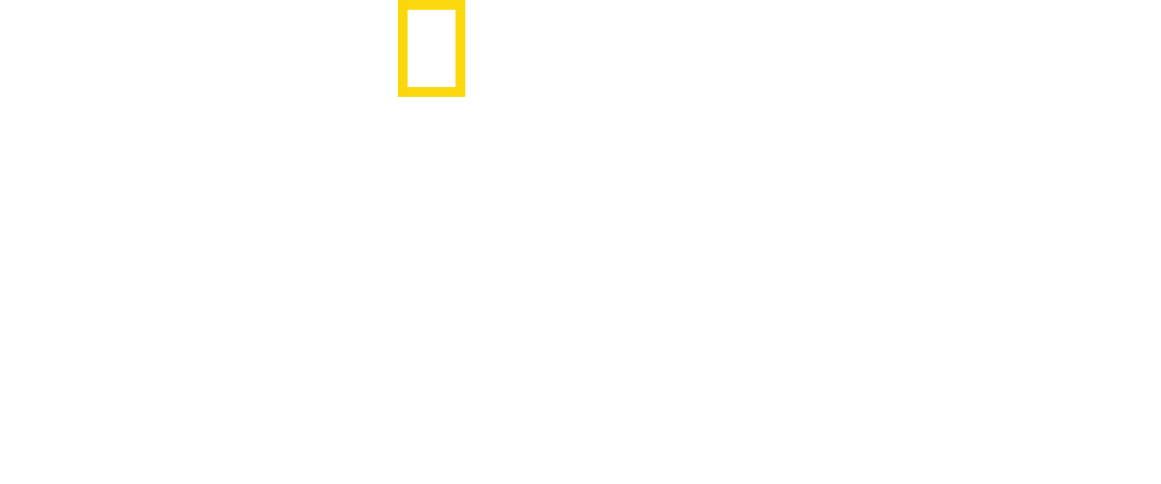 鯊魚調查報告：佩吉溫特的故事