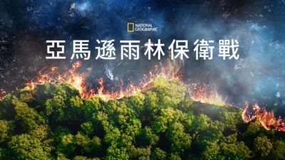 亞馬遜雨林保衛戰