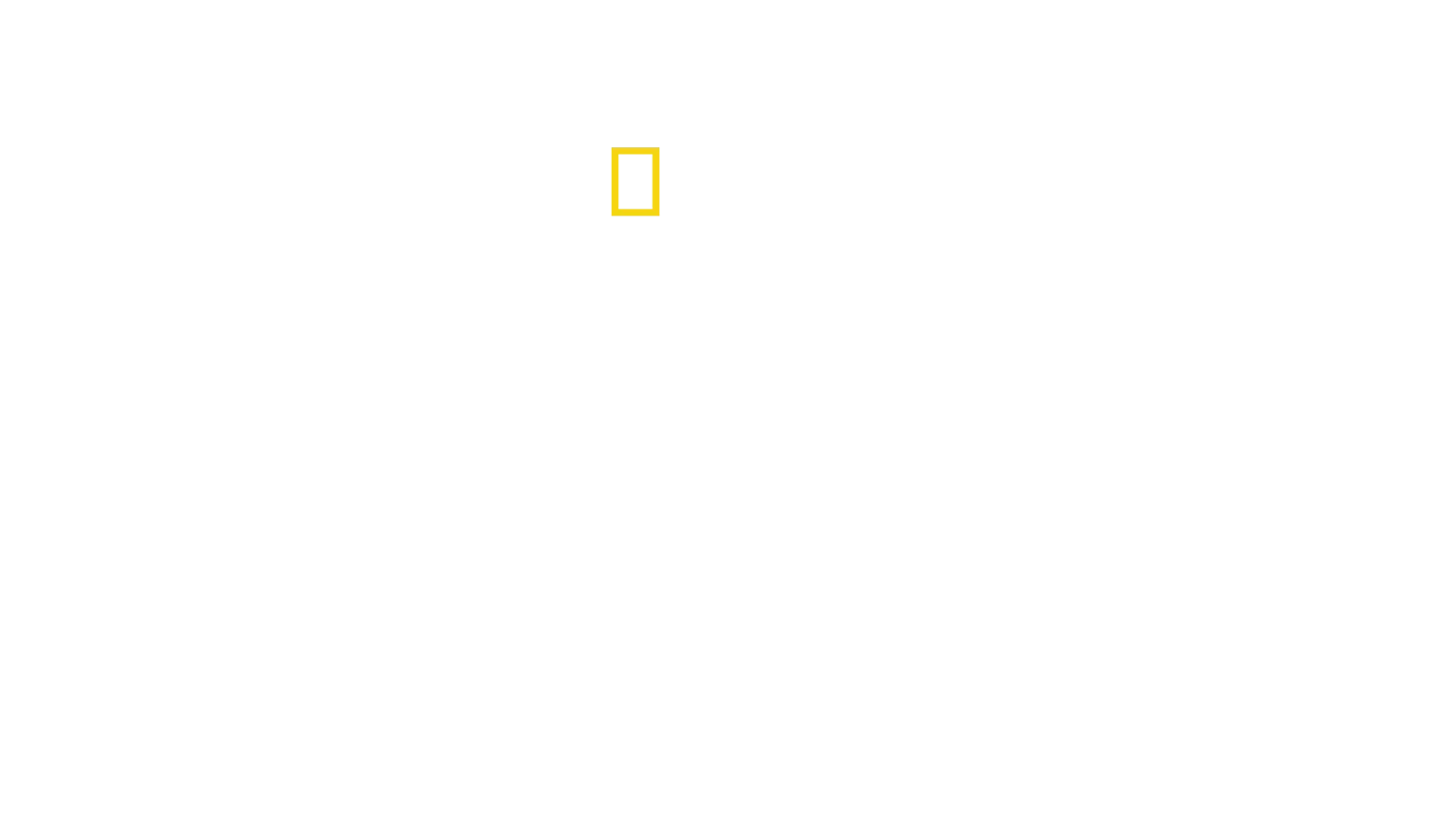Mandíbulas letales