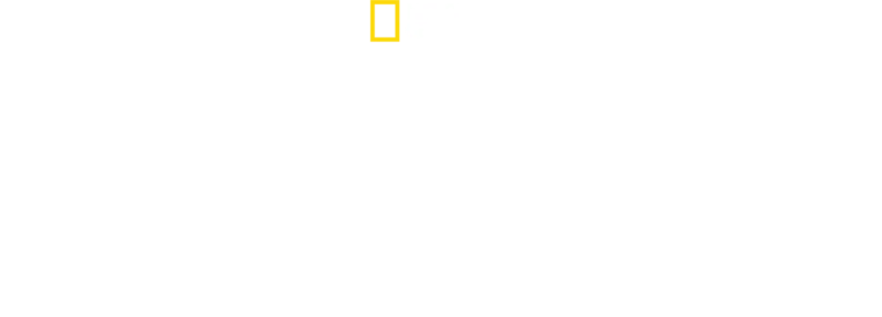 Mandíbulas letales