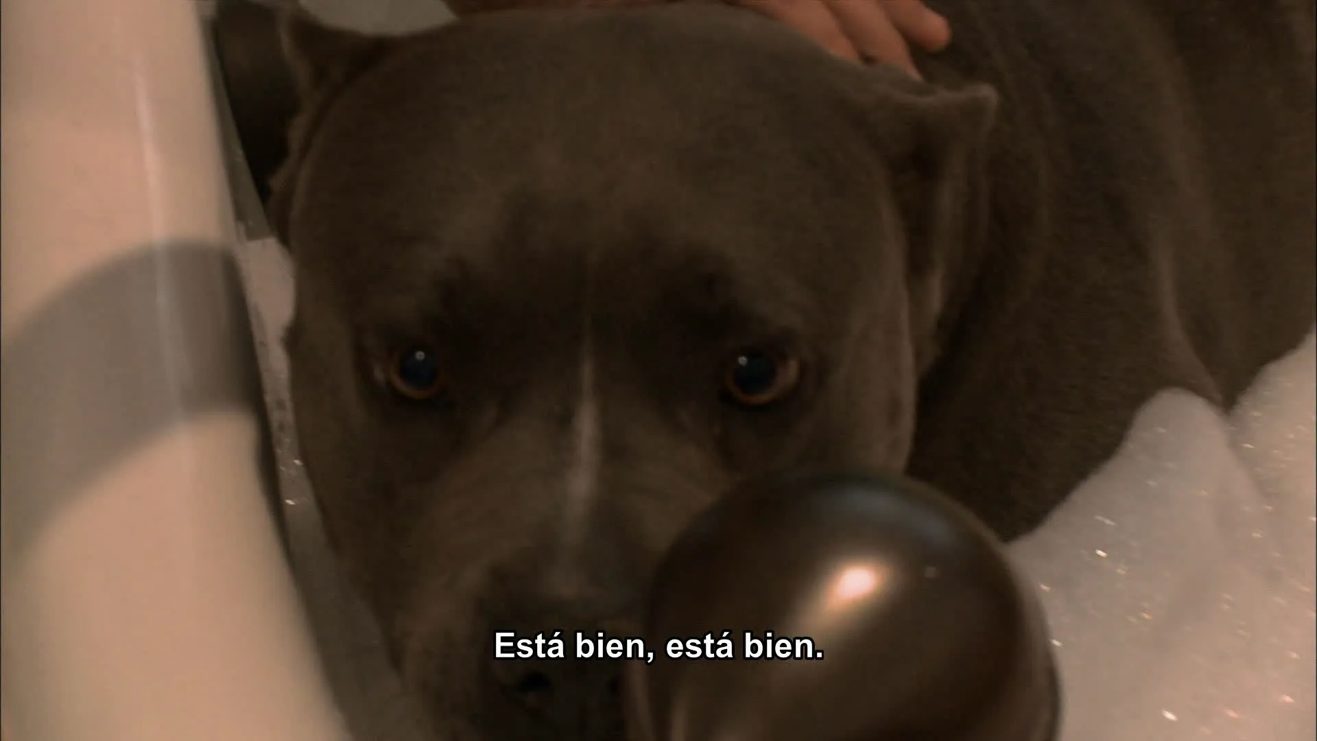 thumbnail - S2:E11 Home Alone
