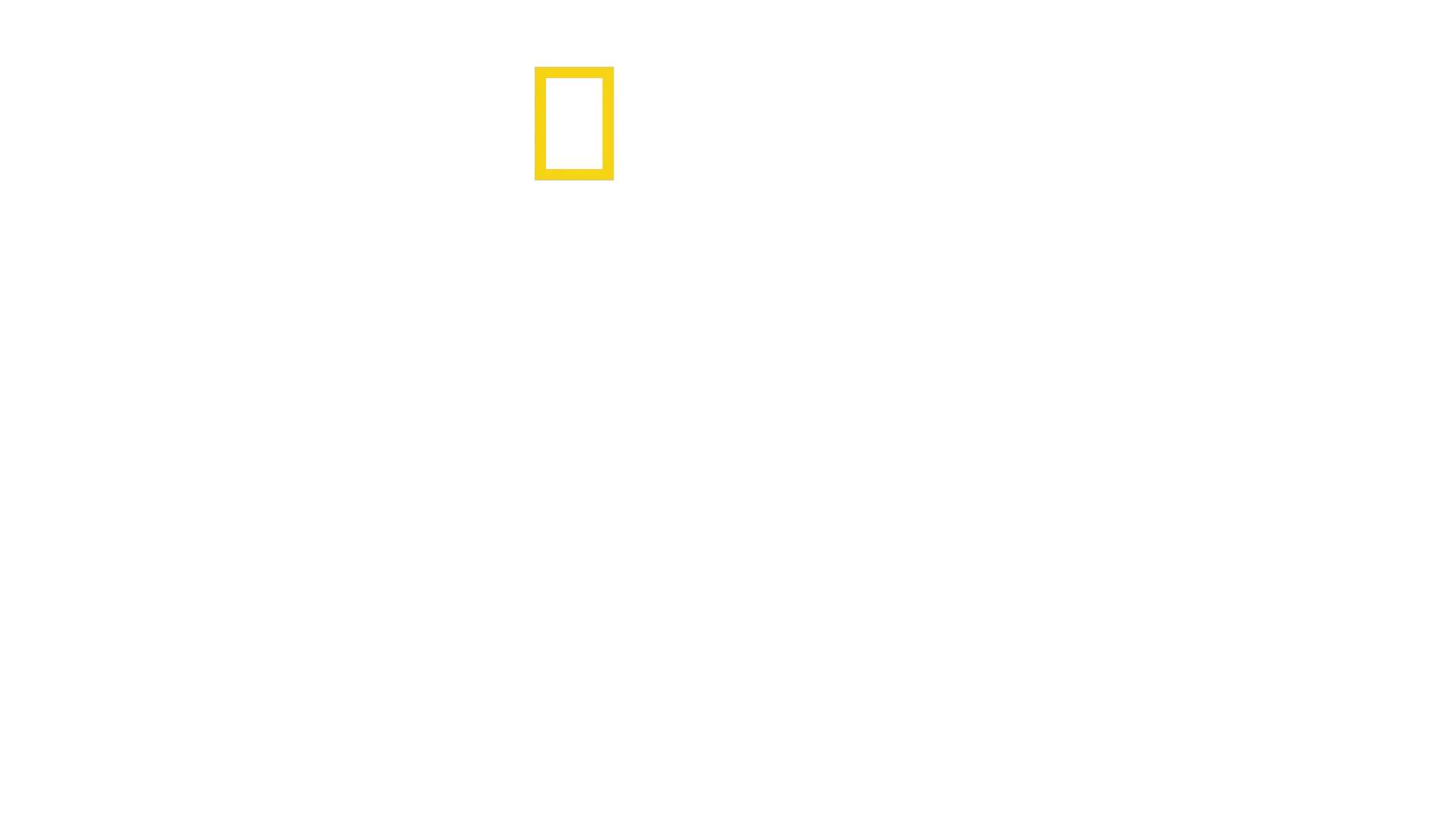 L'ascesa dei ricordi