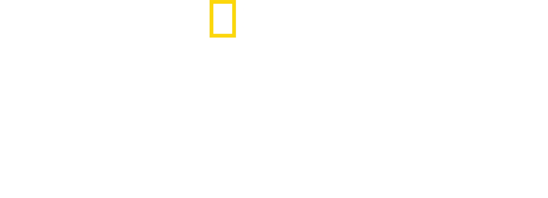 Afrique - À la vie, à la mort