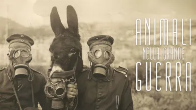 Animali Nella Grande Guerra