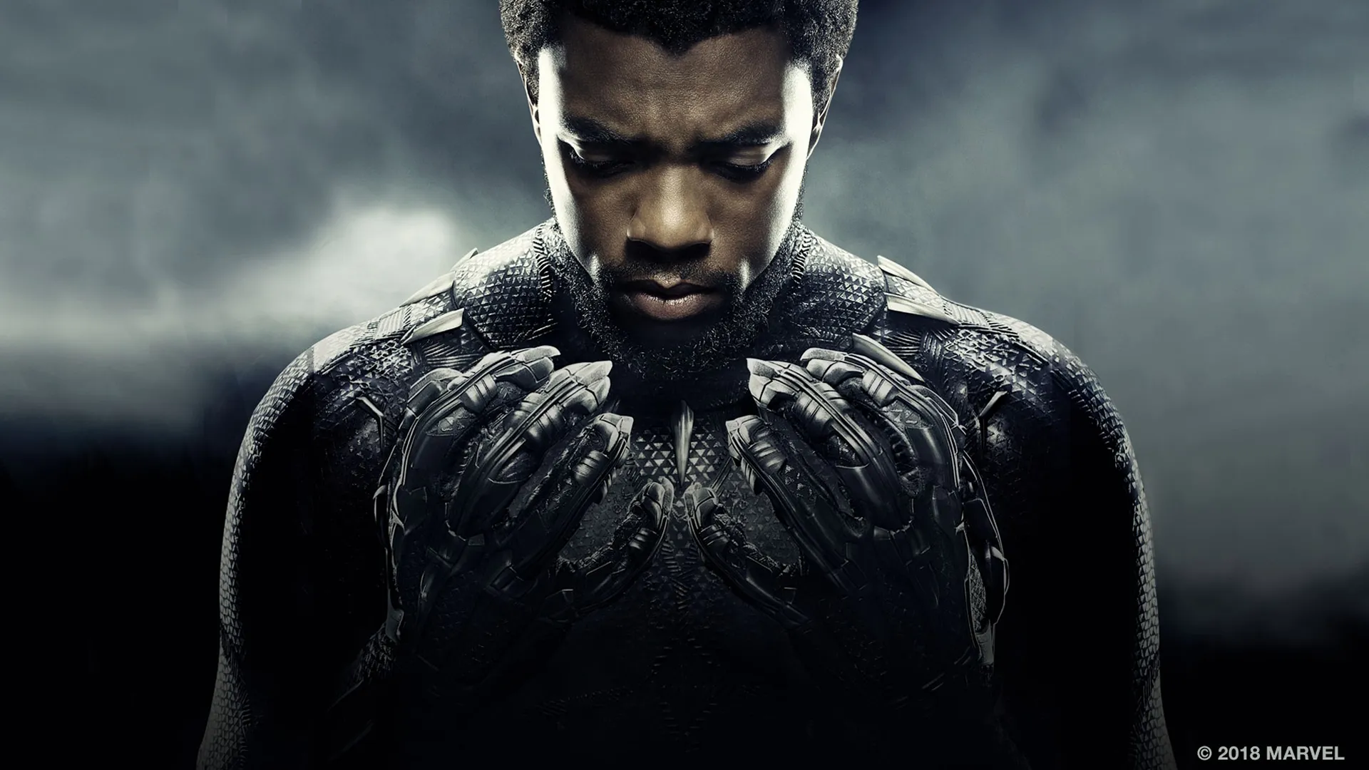 T'Challa (Chadwick Boseman) in Marvel's Black Panther.
