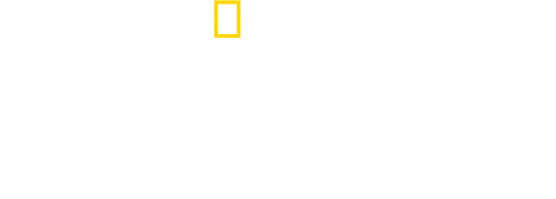 碧眼花豹