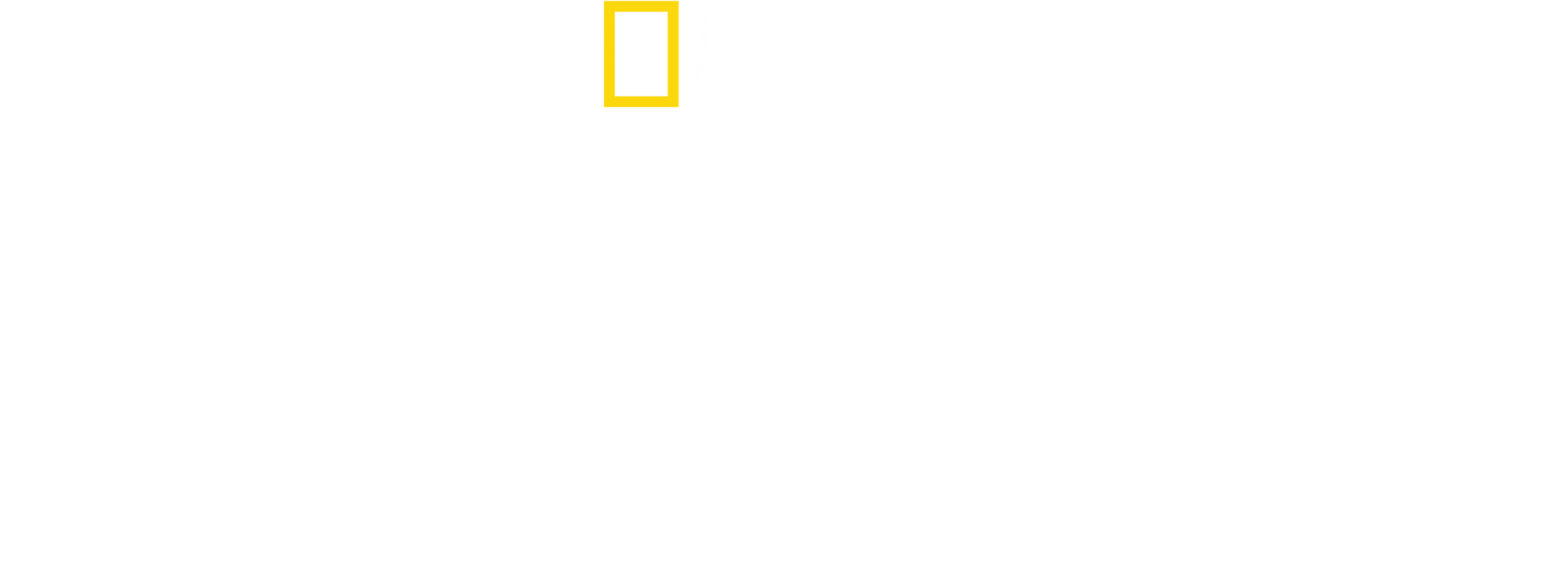 碧眼花豹
