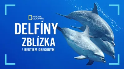 Delfíny zblízka s Bertiem Gregorym