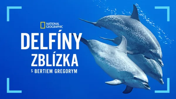 thumbnail - Delfíny zblízka s Bertiem Gregorym