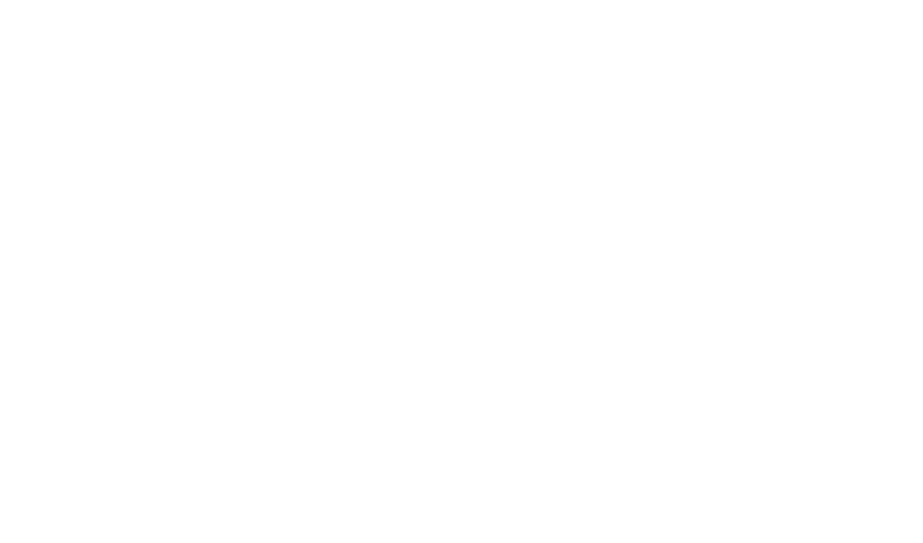 Weihnachten im Anflug