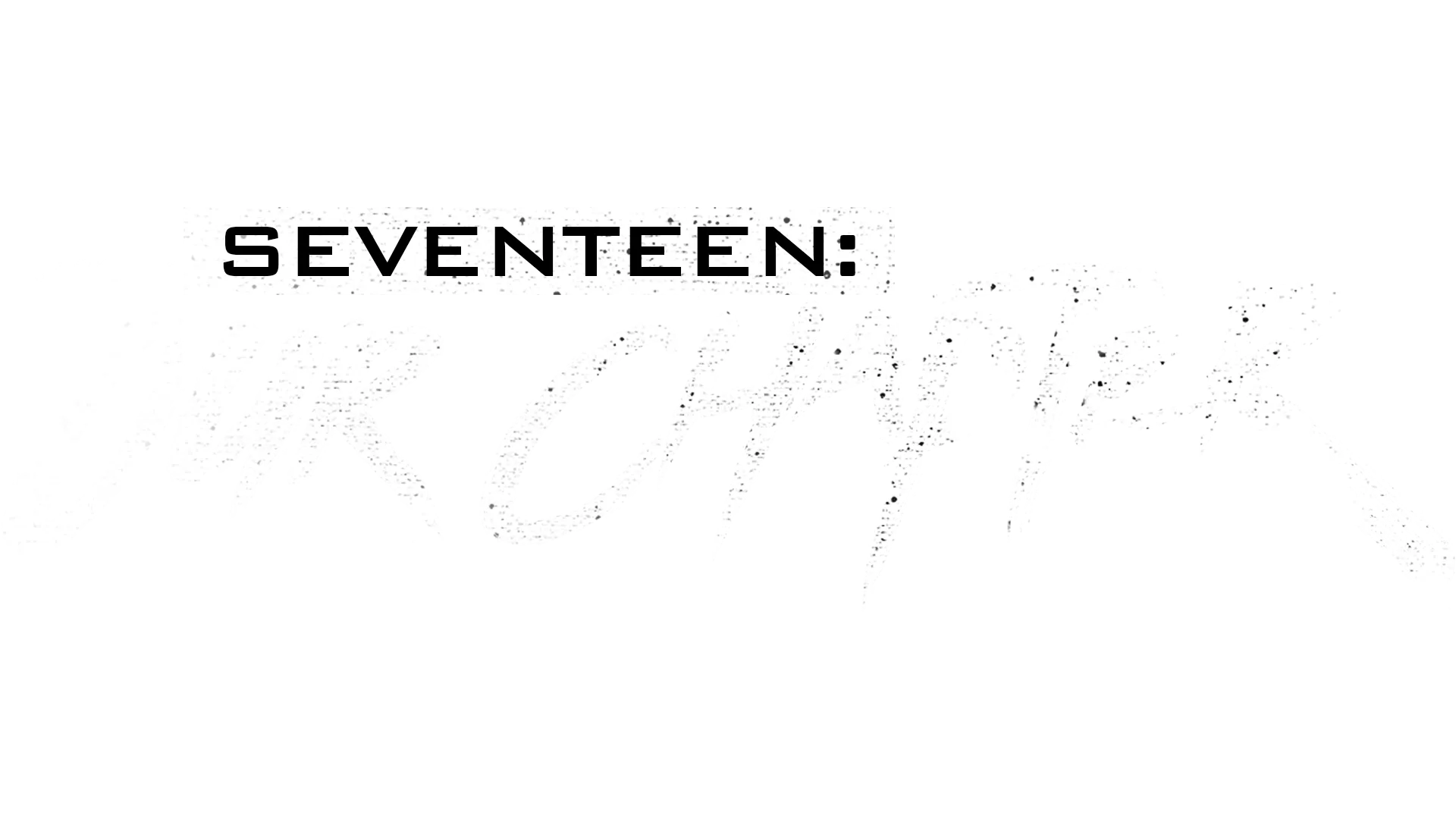 SEVENTEEN: OUR CHAPTER