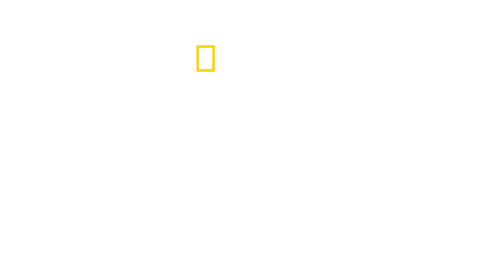 Supermordidas: Tubarão vs. Crocodilo