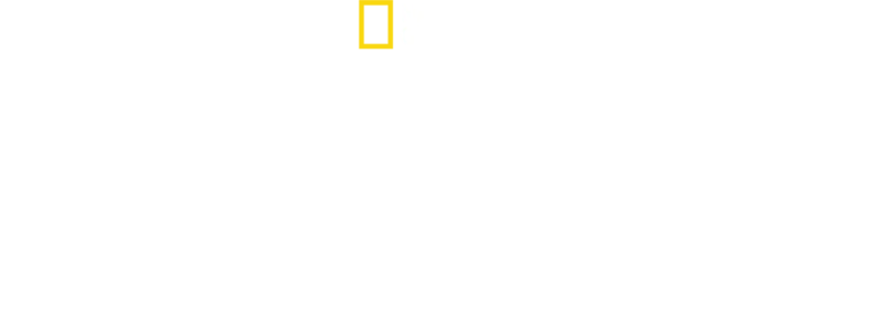 Supermordidas: Tubarão vs. Crocodilo