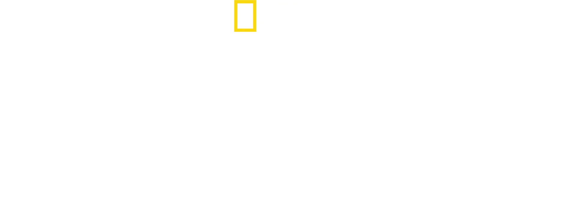 Supermordidas: Tubarão vs. Crocodilo