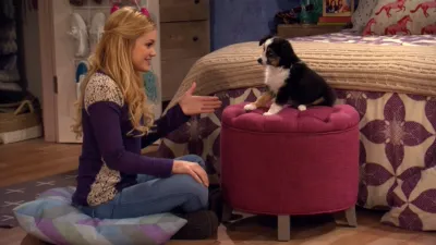 thumbnail - S2:E3 Lindy Goes to the Dogs!