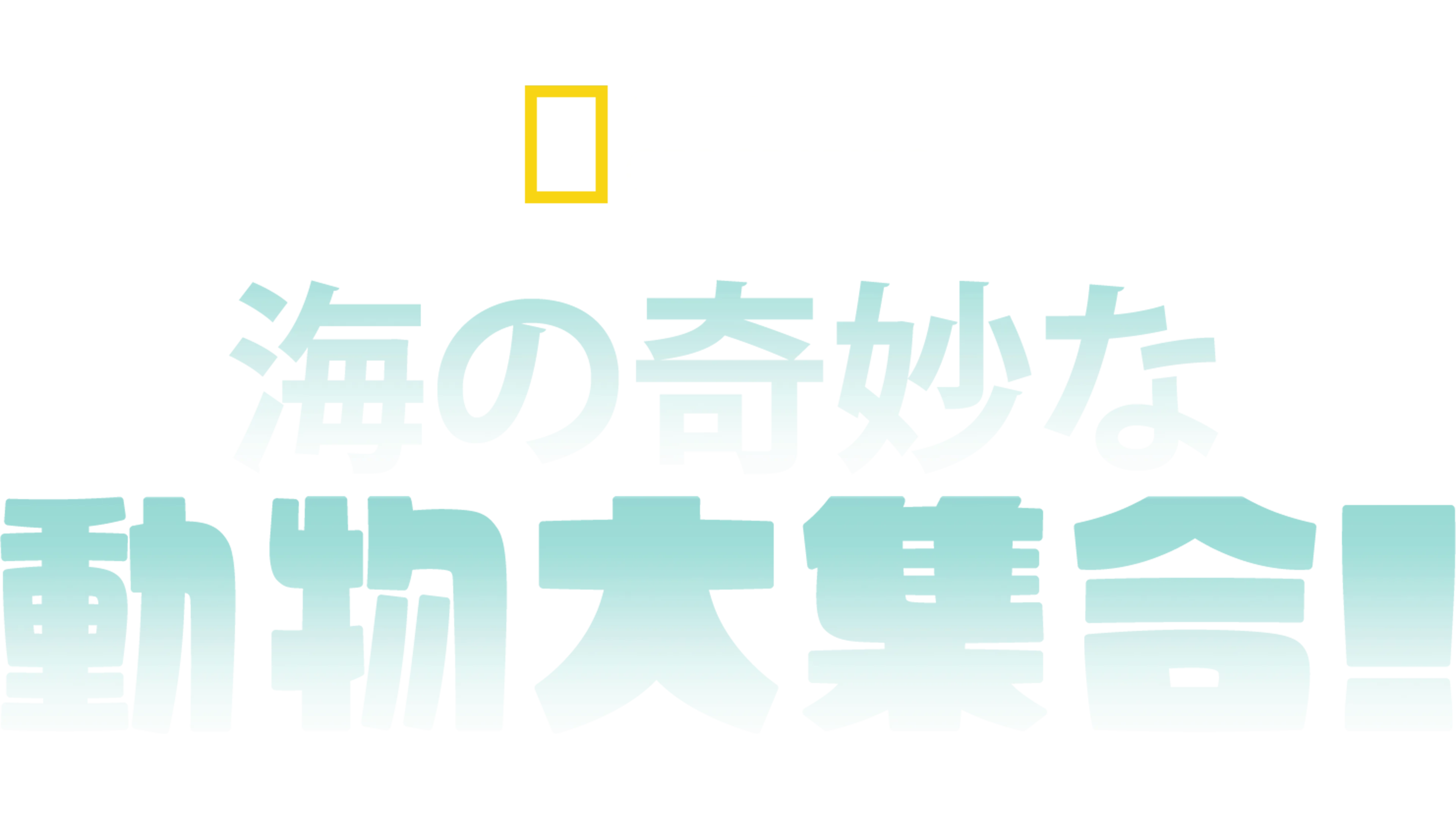 海の奇妙な動物大集合！